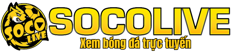 socolivetpt.top