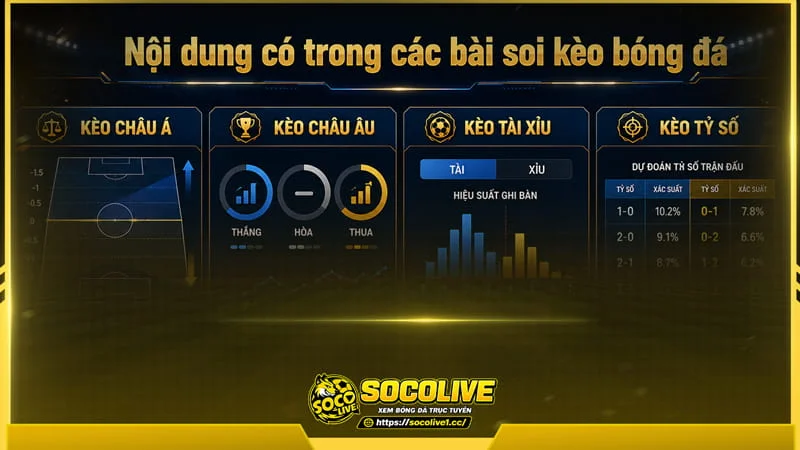 Socolive TV xây dựng nội dung soi kèo bóng đá đa dạng Socolive TV xây dựng nội dung soi kèo bóng đá đa dạng