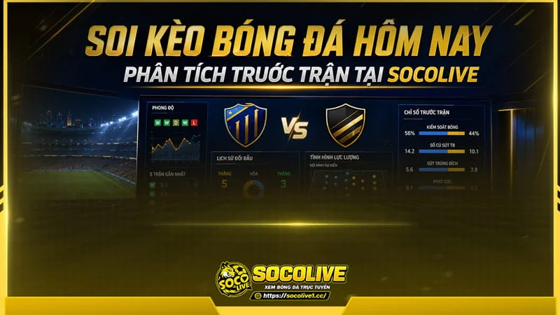 Chuyên mục soi kèo bóng đá Socolive tập trung phân tích trước trận đấu Chuyên mục soi kèo bóng đá Socolive tập trung phân tích trước trận đấu